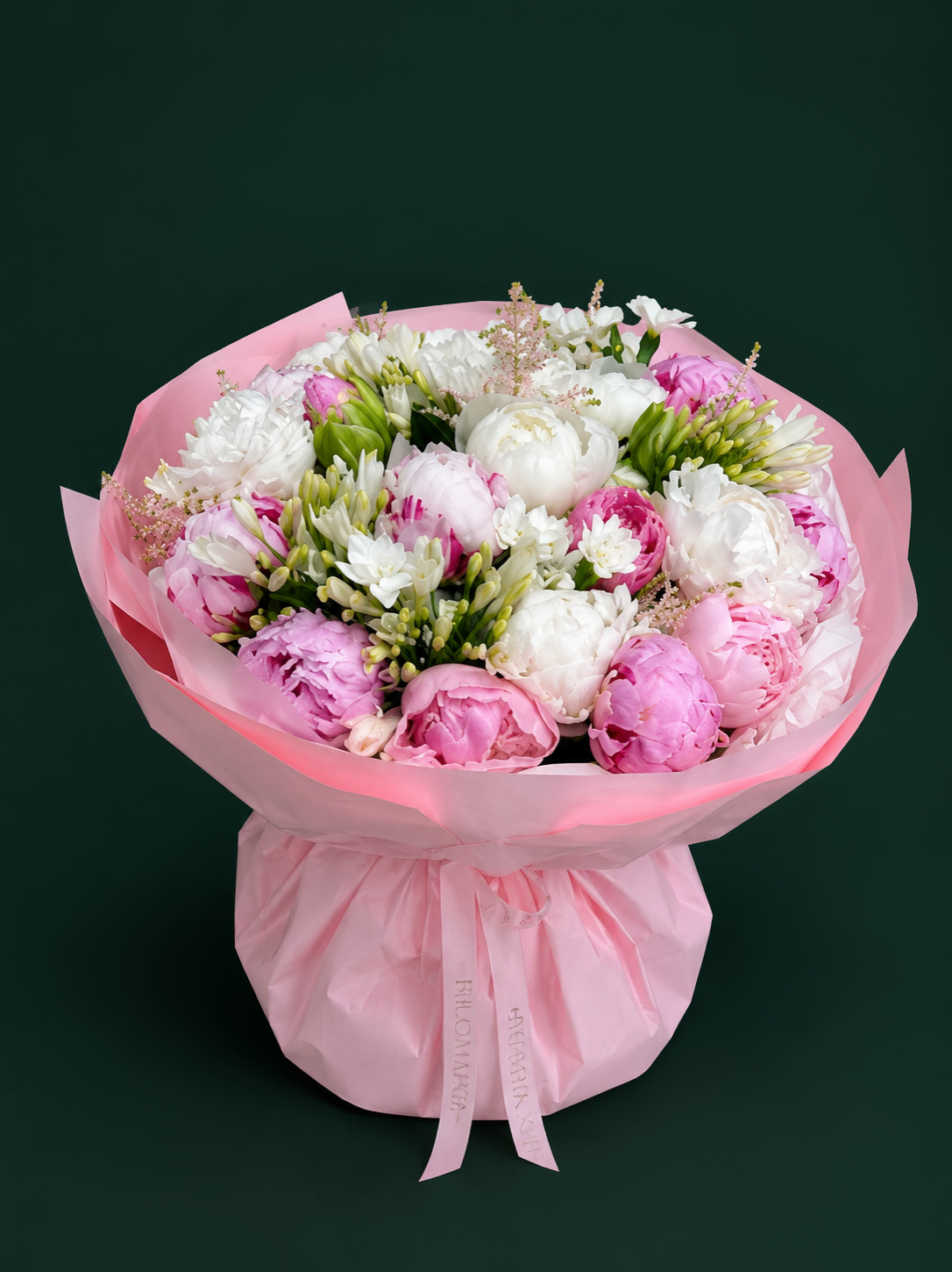 Peony Blush Dream