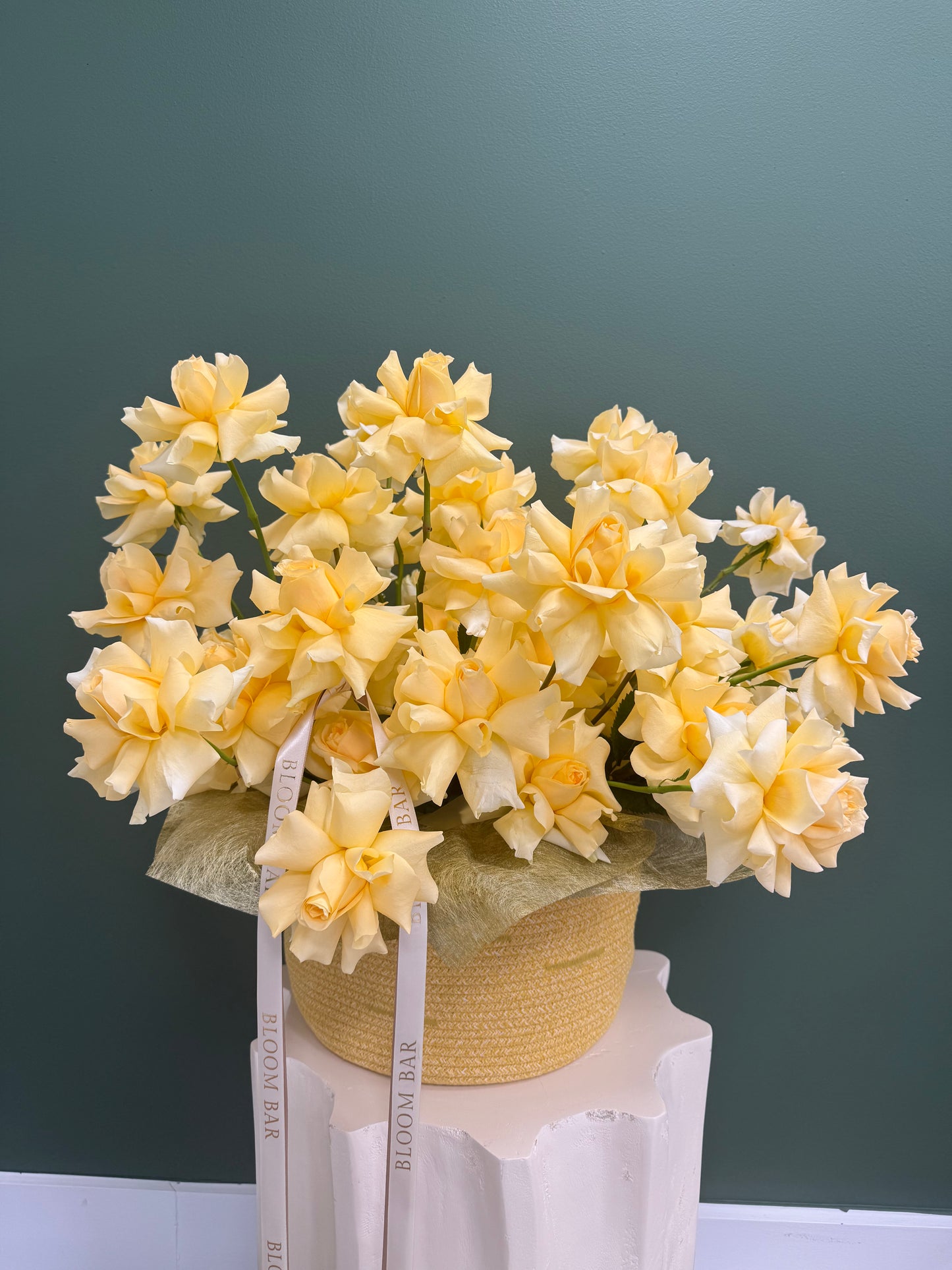 Sunny Yellow Roses