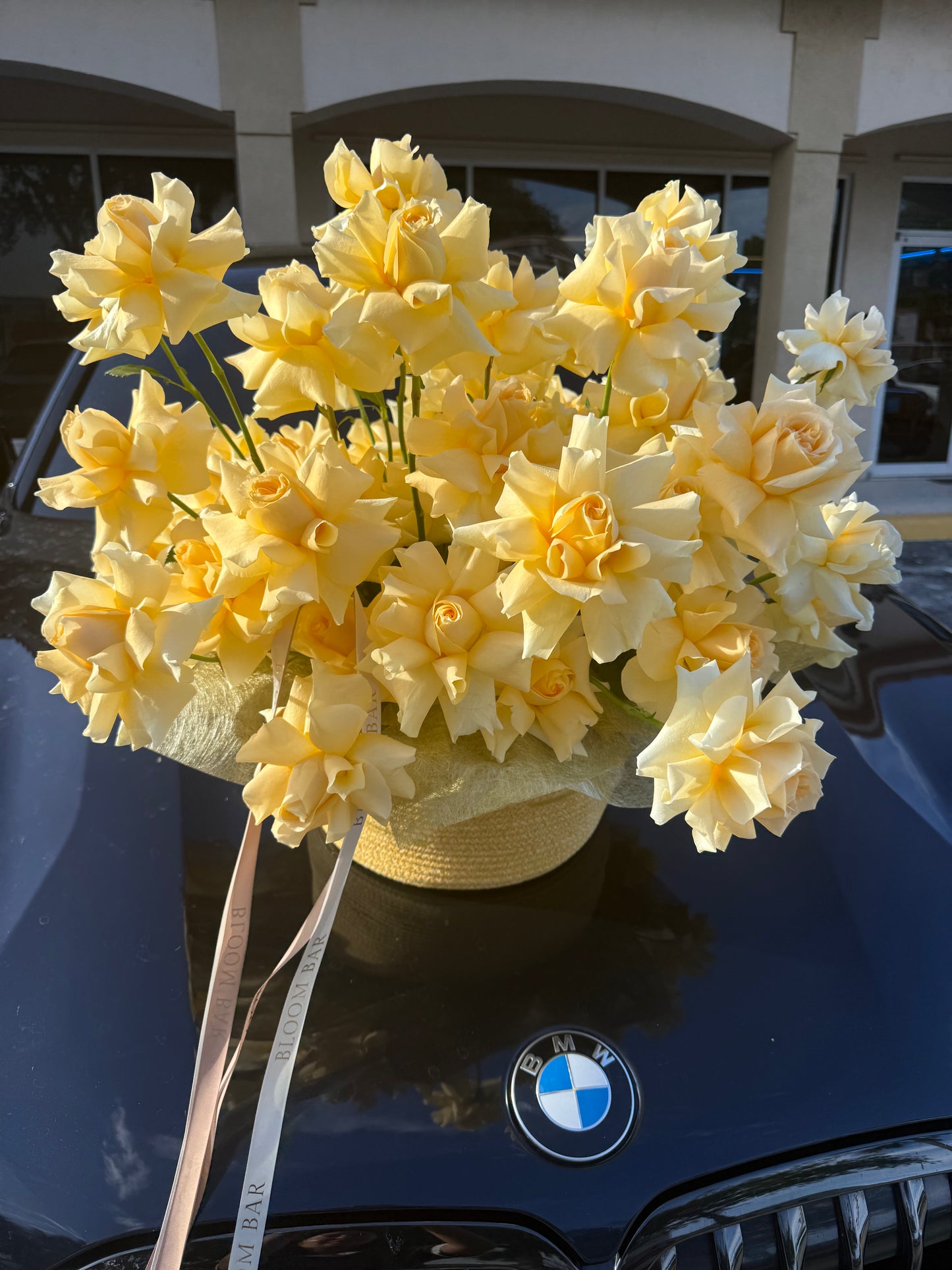Sunny Yellow Roses
