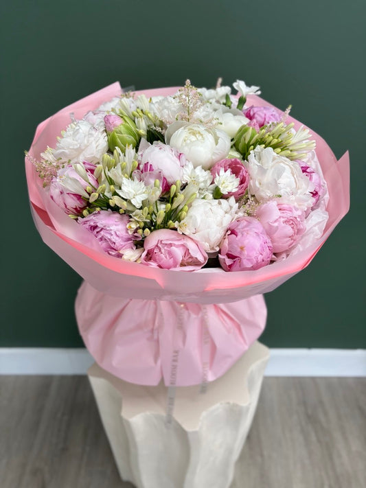 Peony Blush Dream