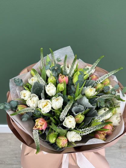 Tulip Harmony