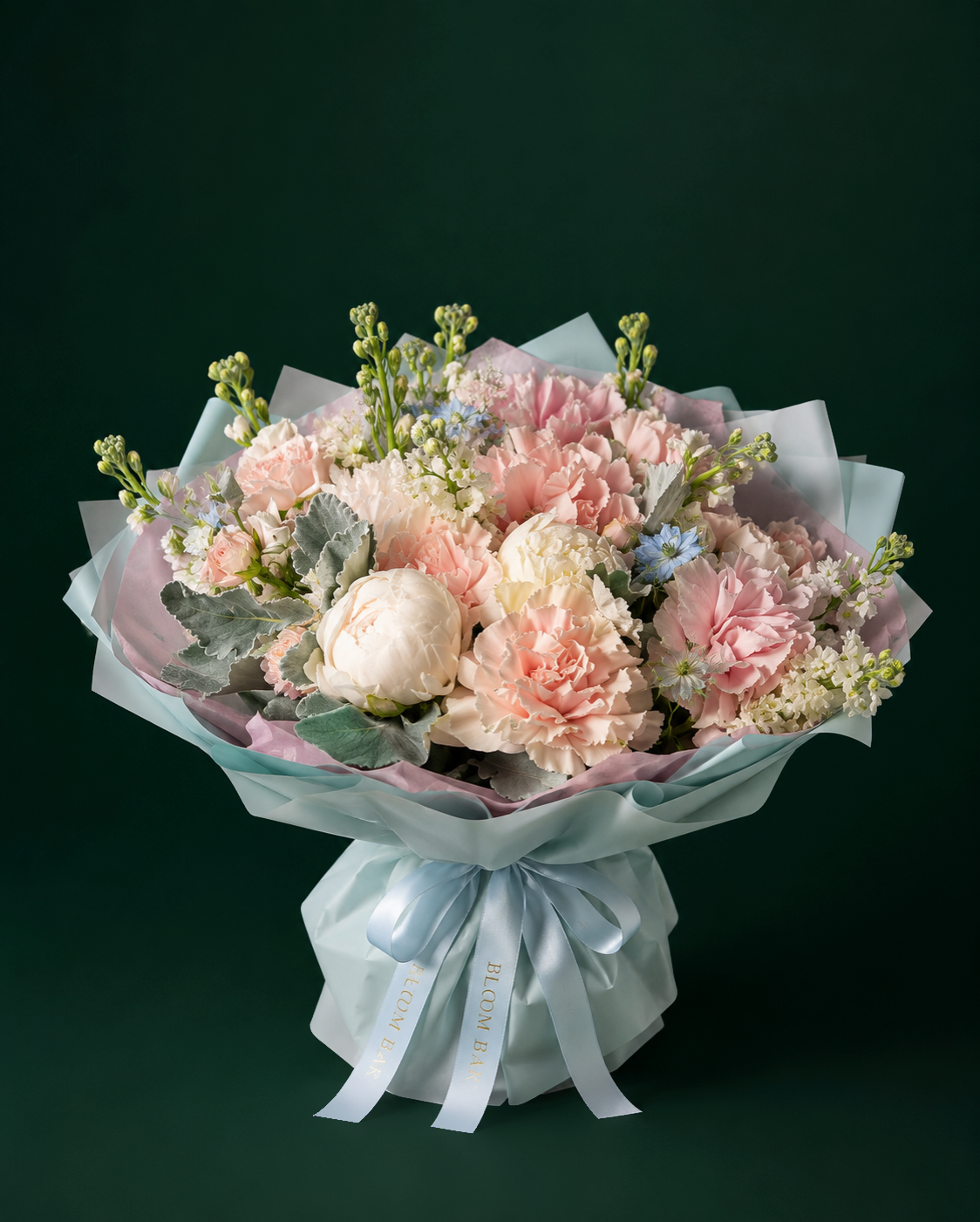 Pastel dream