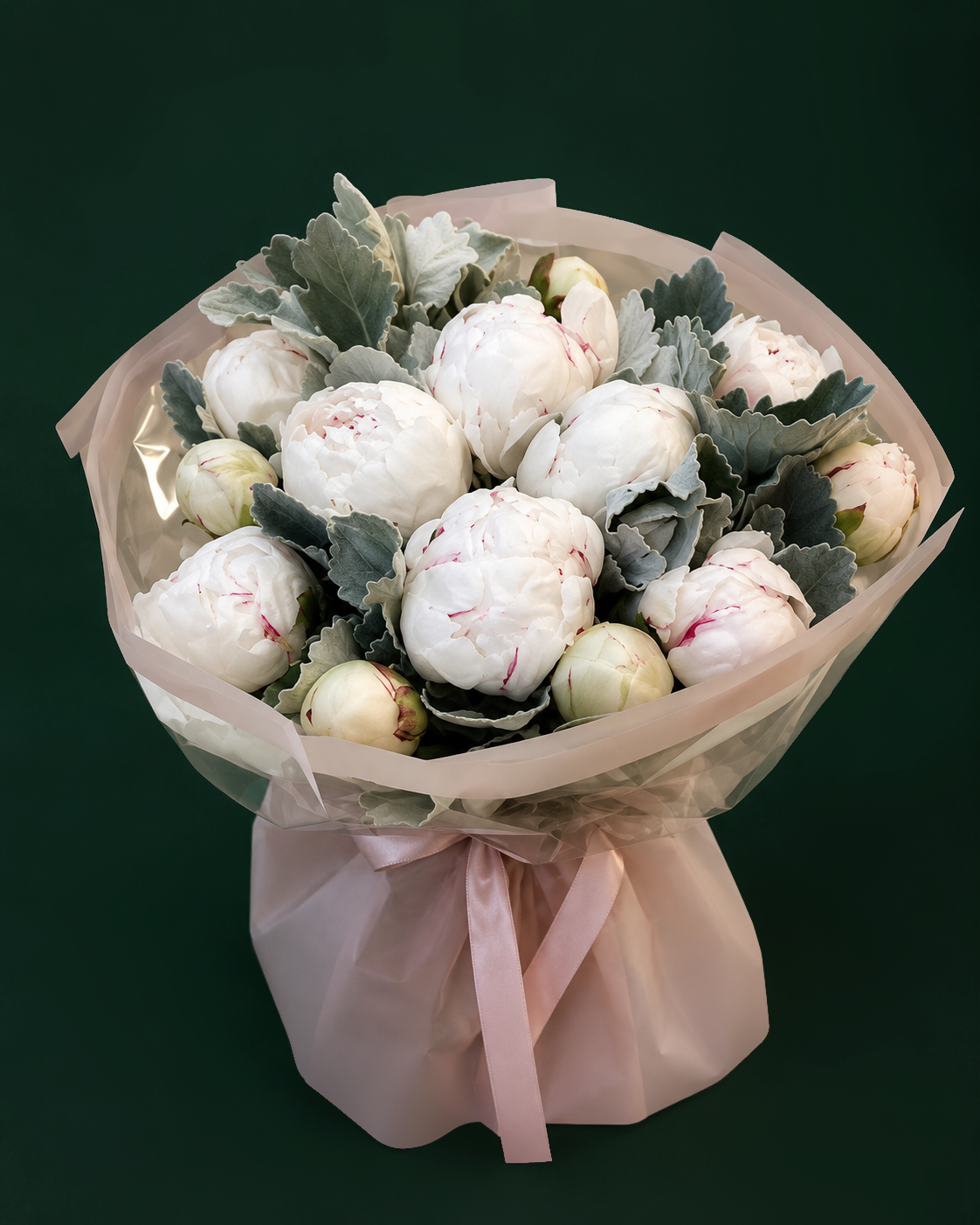 Pure Peony