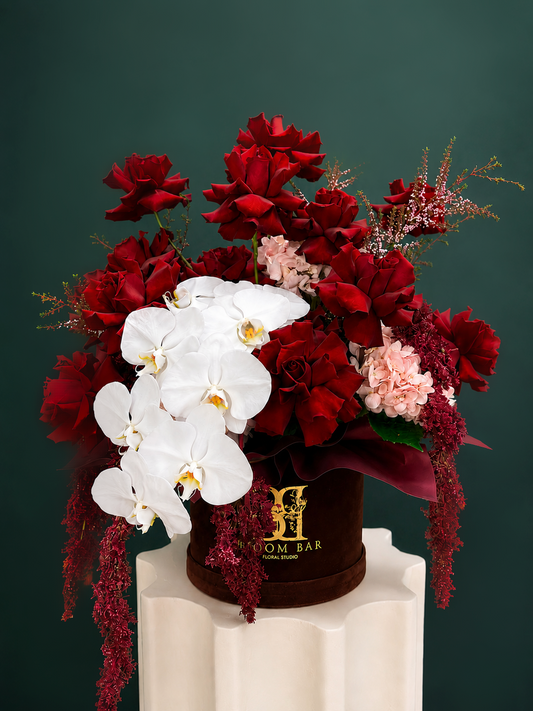 Crimson Orchid Symphony