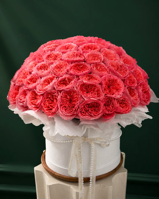 Blushing Grandeur