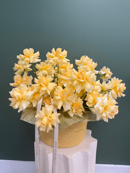 Sunny Yellow Roses