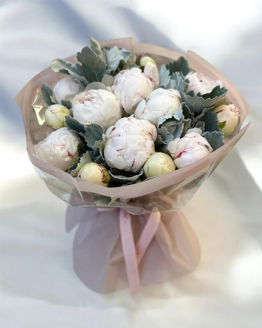 Pure Peony