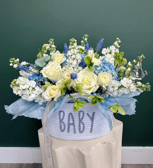 Blue Skies Baby Bloom